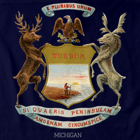 Vintage Michigan Flag